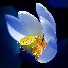 《最终幻想16》首发有二周目模式 最终幻想难度将让玩家游玩很长时间